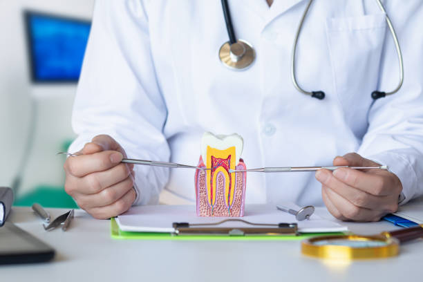 Best Urgent Dental Care  in Richmond, MI